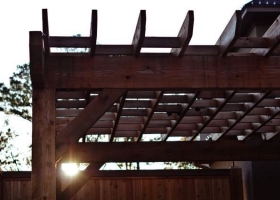 arbor