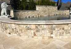 Donovan New Pool