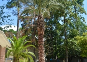 IMG_0087-2