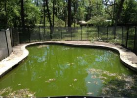 IMG_0003-8