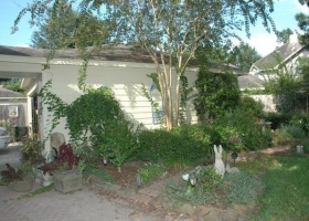 DSC_0004