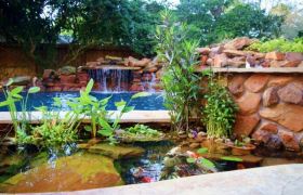Ponds