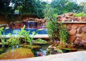 pond1