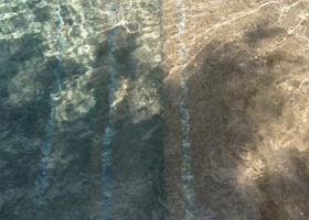photo (12)